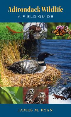 Adirondack Wildlife – A Field Guide