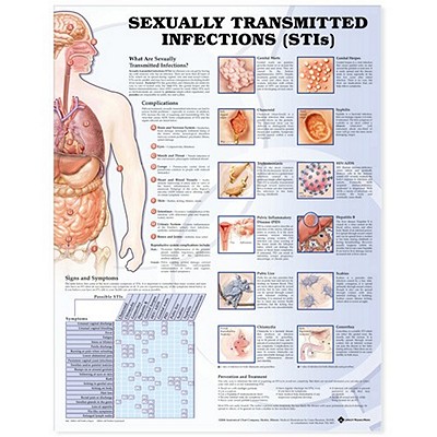 Sexually Transmitted Infections Anatomical Chart