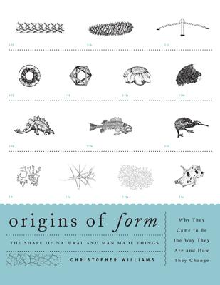 Origins of Form