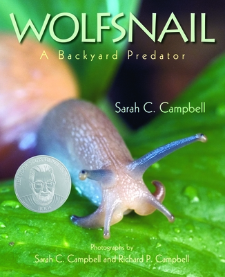 Wolfsnail