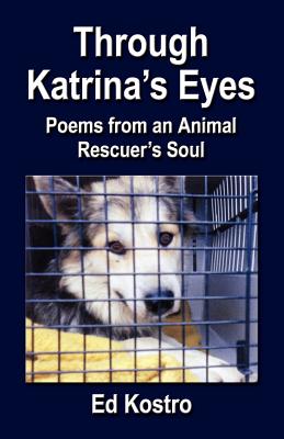 Through Katrina's Eyes