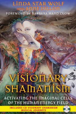 Visionary Shamanism