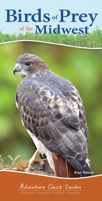 Birds of Prey of the Midwest