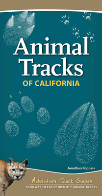 Animal Tracks of California