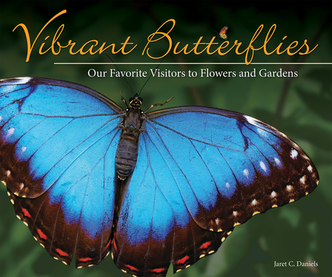 Vibrant Butterflies