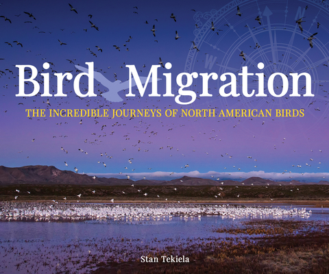 Bird Migration