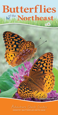 Butterflies of the Northeast