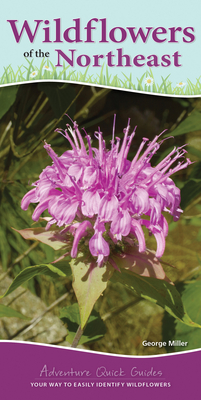 Wildflowers of the Northeast