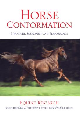 Horse Conformation