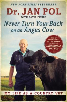 Never Turn Your Back On An Angus Cow