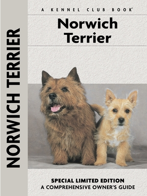 Norwich Terrier