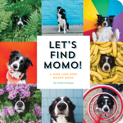 Let's Find Momo!