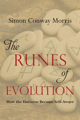 The Runes of Evolution