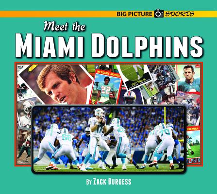 Meet the Miami Dolphins