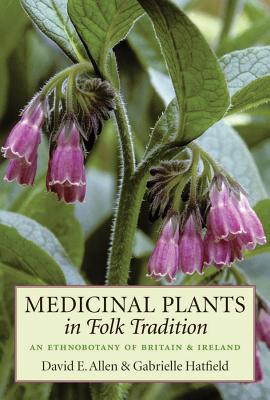 Medicinal Plants in Folk Tradition