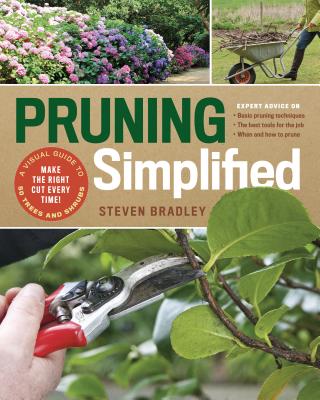 Pruning Simplified