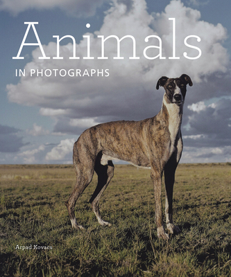 Animals in Photographs