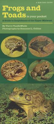 Frogs and Toads in Your Pocket