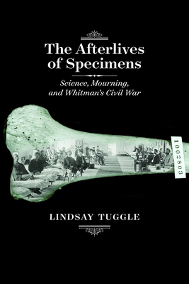 The Afterlives of Specimens