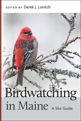 Birdwatching in Maine