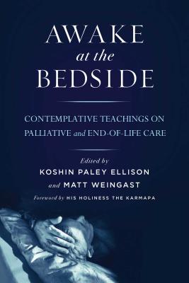 Awake at the Bedside