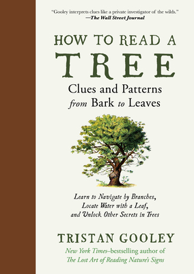 How to Read a Tree – Clues and Patterns from Bark to Leaves