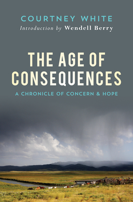 The Age Of Consequences