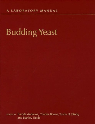 Budding Yeast