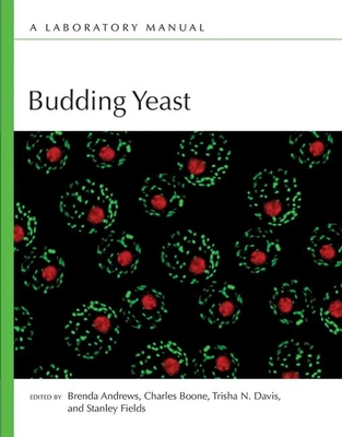 Budding Yeast