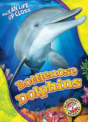 Bottlenose Dolphins