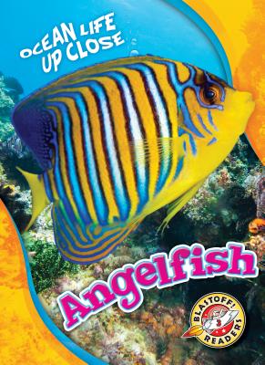 Angelfish