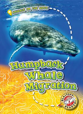 Humpback Whale Migration