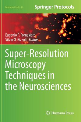 Super-Resolution Microscopy Techniques in the Neurosciences
