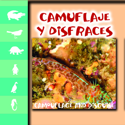 Camuflaje y disfraz