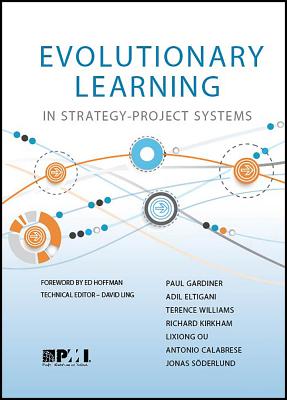 Evolutionary Learning in Strategy-Project Systems