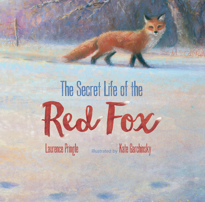 Secret Life of the Red Fox