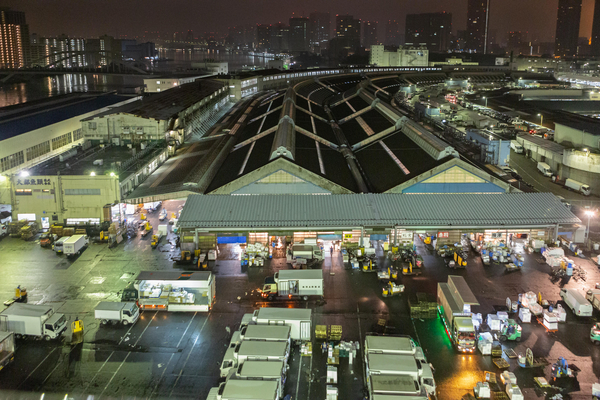 Tsukiji Fish Market