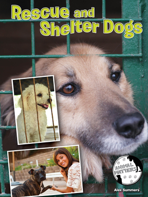 Rescue and Shelter Dogs
