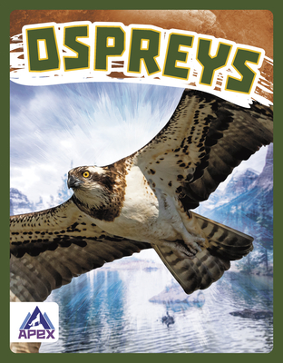 Birds of Prey: Ospreys