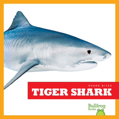 Tiger Shark