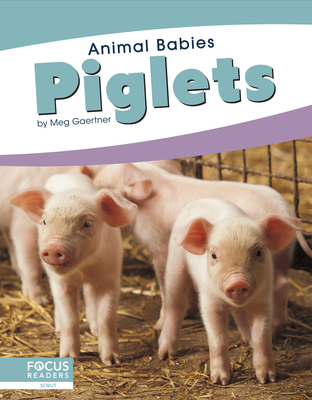 Animal Babies: Piglets