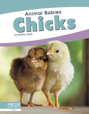 Animal Babies: Chicks