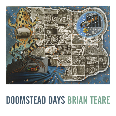 Doomstead Days