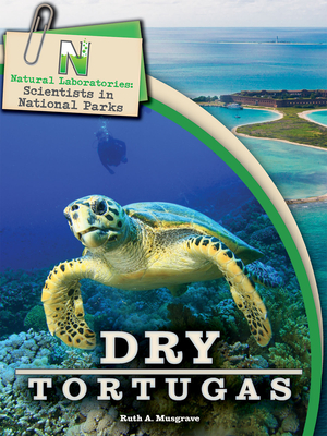 Dry Tortugas
