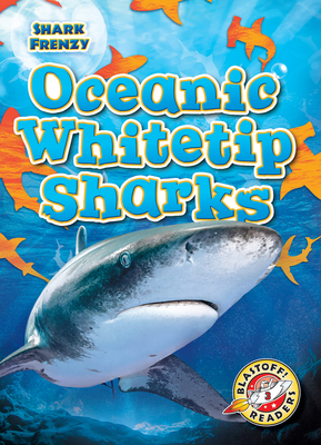 Oceanic Whitetip Sharks