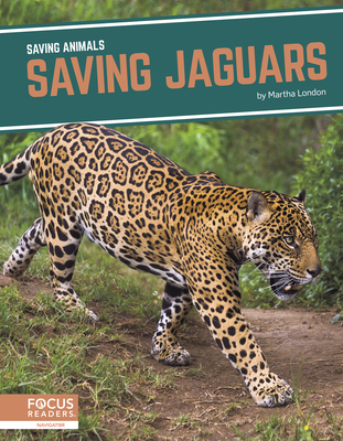 Saving Animals: Saving Jaguars