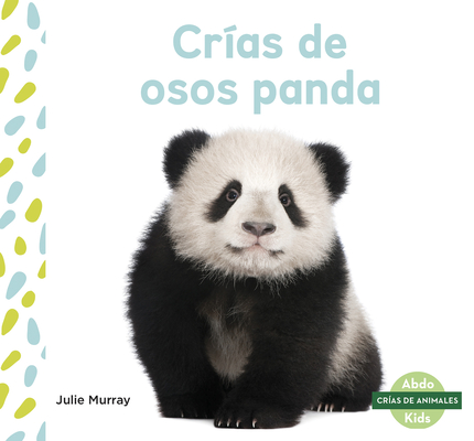 Crias de osos panda (Panda Cubs)