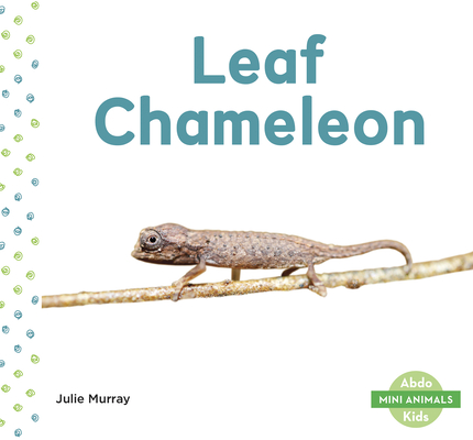 Mini Animals: Leaf Chameleon