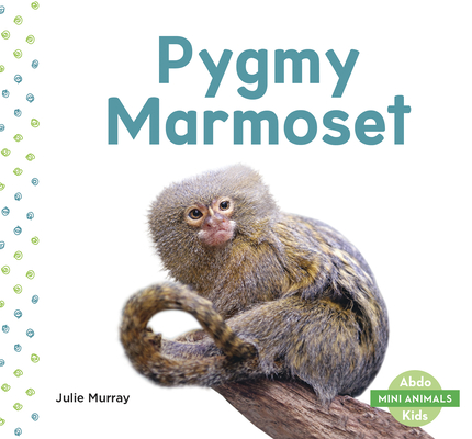 Mini Animals: Pygmy Marmoset