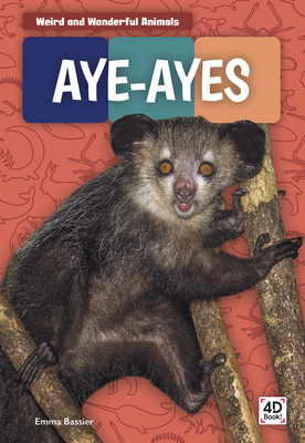 Weird and Wonderful Animals: Aye-Ayes